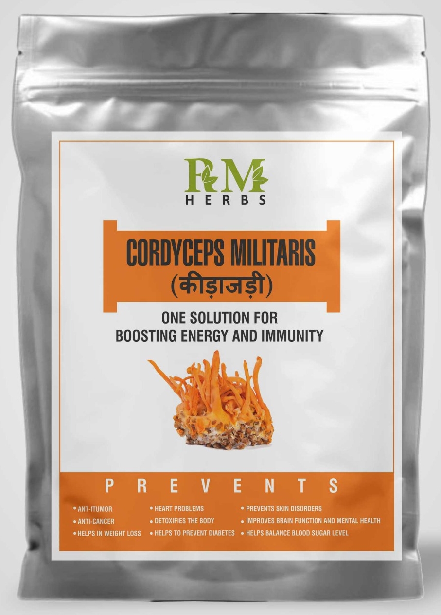 Cordyceps Militaris Product 1